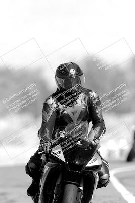 media/Nov-06-2023-Moto Forza (Mon) [[ce023d0744]]/4-Beginner Group/Session 3 (Track Exit)/